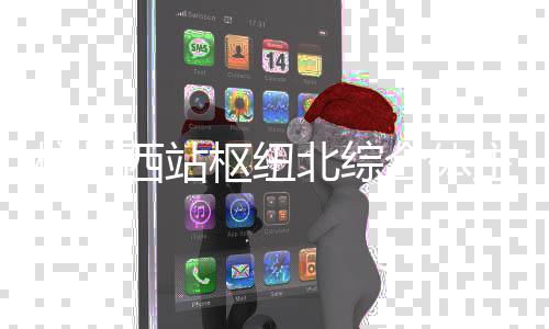 北综杭州合体西站主体结构封顶枢纽